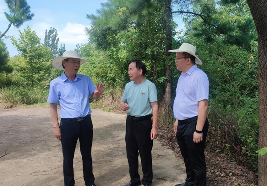 ��˾����(sh��)�_չ�h�T�ɲ�